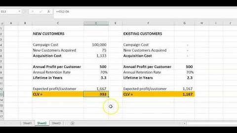 Using the Free CLV Template for New and Existing Customers