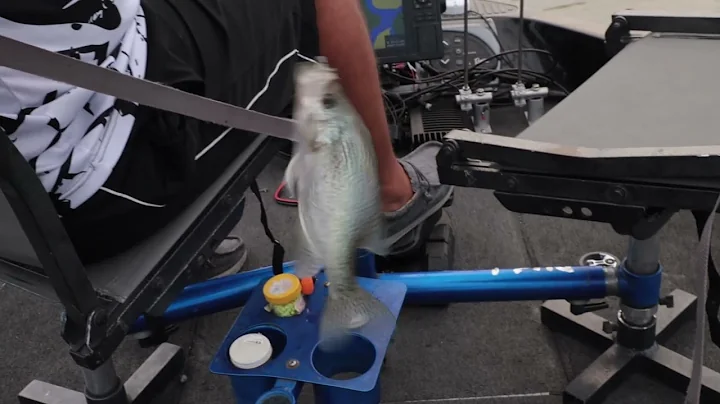 Shane Walser catching crappie High Rock Lake
