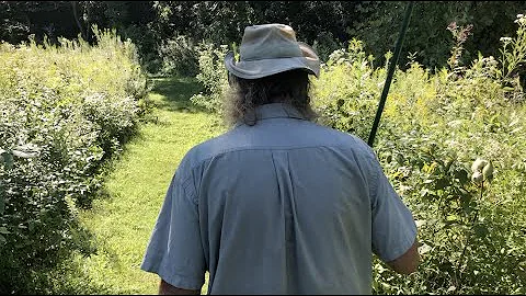 Learn Foraging from a True Expert at Our Festival!