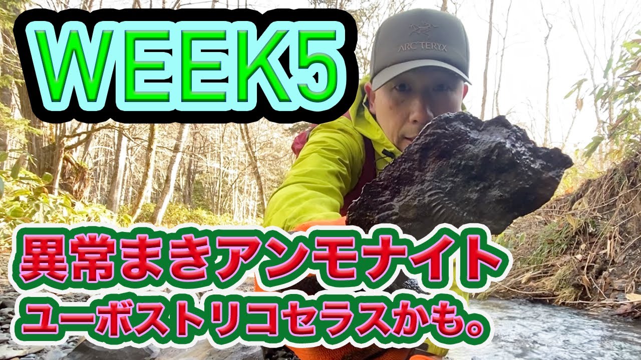 【S6】WEEK５ いきなり骨の化石かと思っやら、木石でした！W 全て骨化石に見えてきた。この場所もいい所。白亜紀チューロニアン期