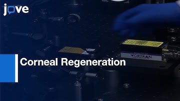 Combination Of Microstereolithography & Electrospinning To Produce Membranes l Protocol Preview