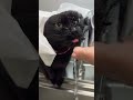 水飲み定番スタイル