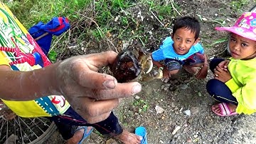 Đi qua cánh đồng ruộng trên của làng Tà Le lên Núi Cô Tô, Tri Tôn, An Giang 17/08/2019