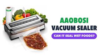 REVIEW (2026): AAOBOSI DBJ-1 95kPa 9-in-1 Wet/Dry Vacuum Sealer. Features