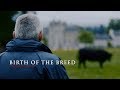 I AM ANGUS: Birth of the Breed | Ballindalloch Castle