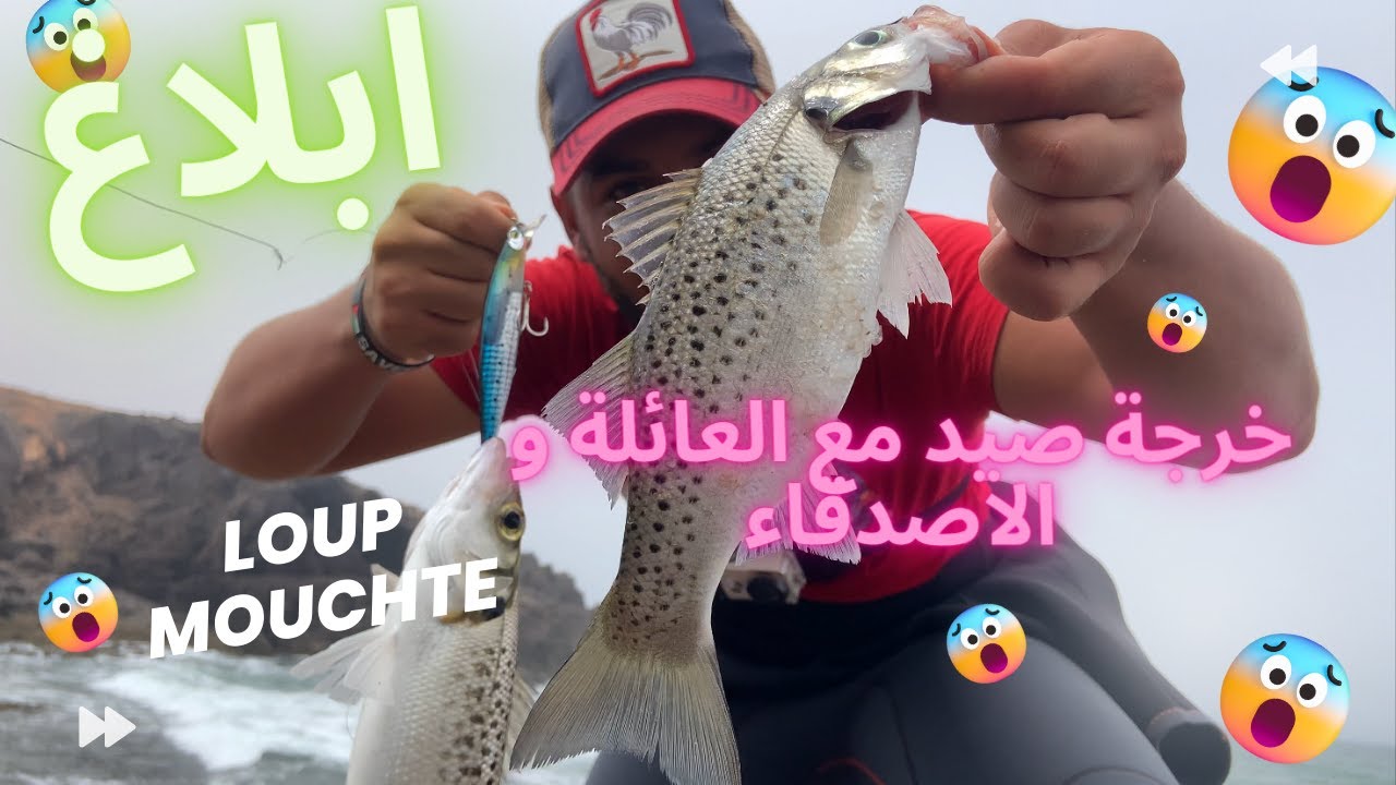 خرجة صيد مع العائلة و الاصدقاء لاستهداف سمك ابلاغ في مصيد سيدي بو الفضايل RAYS fishing الرايس فيشينغ