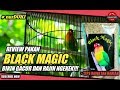 Pakan Burung Lovebird Gacor