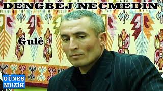 Dengbej Necmedi̇n - Gulê