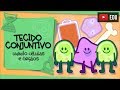 Quiz sobre Tecidos Conjuntivos