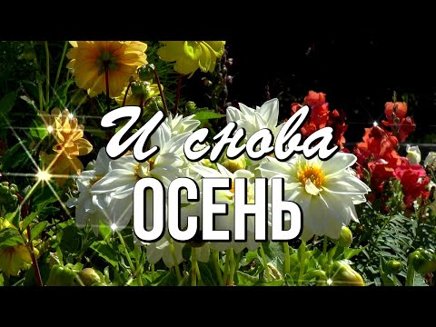 Доброе утро! И снова Осень! Счастья Вам в душе, красоты вокруг!