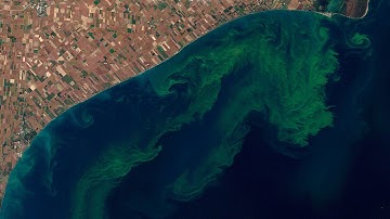 ScienceCasts: The Good, the Bad, and the Algae
