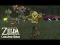 The ultimate coliseum challenge breath of the wild challenge series