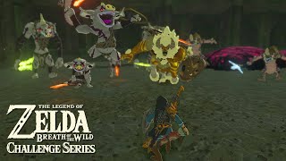 THE ULTIMATE COLISEUM CHALLENGE: Breath of the Wild Challenge Series