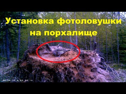 как правильно сделать порхалище полусне сначала