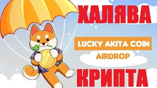 КРИПТОХАЛЯВА ОТ LuckyAkita/ Airdrop