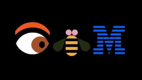 IBM Eye Bee M