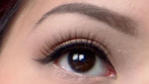 My Current Brow Routine (Soft but Defined)