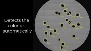 Rapid Bioburden Testing Using IntuGrow Technology