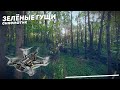 Зеленые гущи леса. Микро синематик 4K. Darwin Tiny Ape Freestyle x Runcam Thumb Pro v2 x Gyroflow