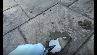 Repairing Stamped Concrete