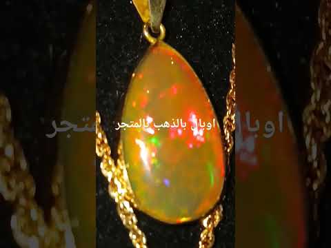 اسعار مناسبة للجميع بالمتجر