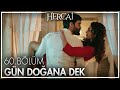 Sevgililer Günümüz kutlu olsun ❤️ - Hercai 60. Bölüm