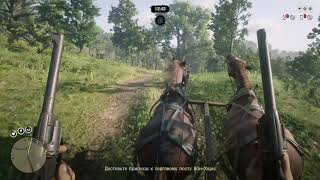 RDR 2- делижанс