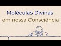 Trigueirinho | Moléculas Divinas em nossa Consciência