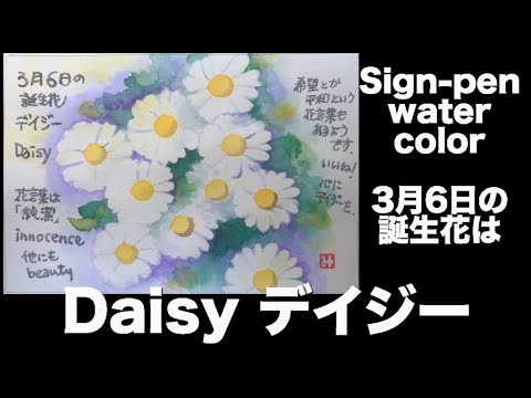 Sign Pen Water Color 3月6日の誕生花は Daisy デイジー Youtube