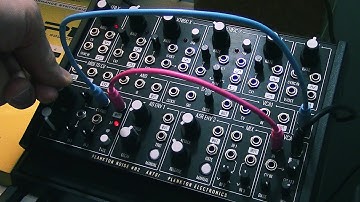 Ants! synthesizer from Plankton Electronics -- my initial noodlings