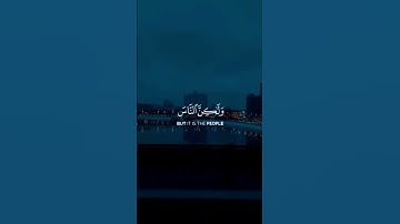 إن الله لا يظلم الناس شيئًا ولكن الناس أنفسهم يظلمون | القارئ : عبدالباسط عبدالصمد