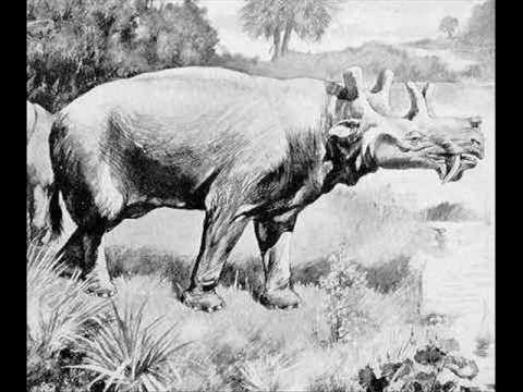 Art by Charles Knight: Prehistoric mammals