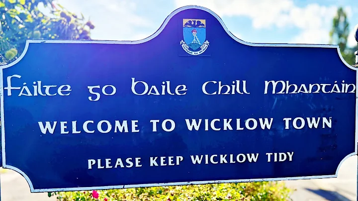 Welcome to Wicklow Town by Sean Olohan & Martin Va...
