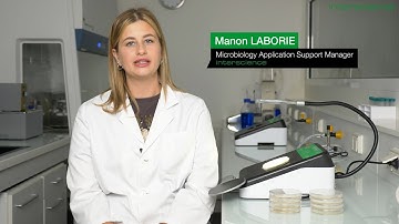 Scan 50 - Manual colony counters