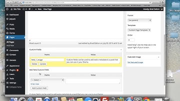 Altitude Pro Themes Front Page Template With Custom Fields