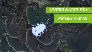 Underwater ROV Fifish V-EVO Qysea
