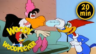 Woody the Babysitter | 3 Full Episodes | Woody Woodpecker
