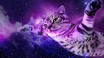 Правки WP Laravel, потом изучение Linux и Docker