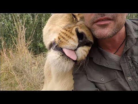 Meg FINDS Something! #AskMeg | The Lion Whisperer