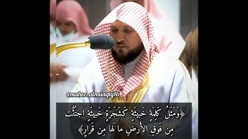 تلاوة فضيلة الشيخ د.#ماهر_المعيقلي من صلاة العشاء 9 صفر 1444هـ.