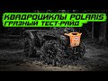 Квадроциклы Polaris, сочный тест-драйв, atv polaris mudding in Russia