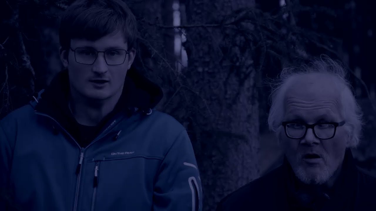 Den hemsökta skogen