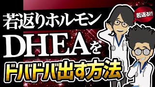 【話題作】「若返りホルモンDHEAをドバドバ出す方法」を世界一わかりやすく要約してみた【本要約】