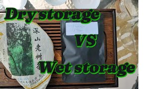Dry Vs Wet Storage Pu Erh Comparison - 2007 Shen Shan Lao Shu Haiwan