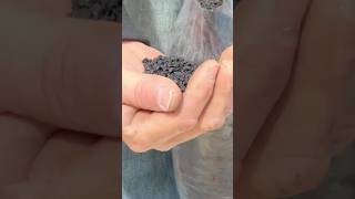 🌱 Brown Coal in Your Worm Bed?! Here’s Why Ron Uses It!