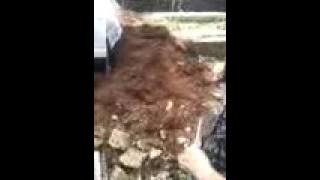 Download lagu Akhir Kehidupan Fana 2017