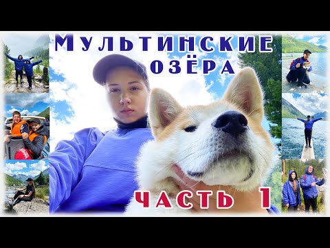 Мультинские озера ожидания и реальность #часть1 Обзор цены Алтай с собакой. #мультинскиеозера