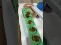 Marble Run ☆ Guppy's Marble Run①