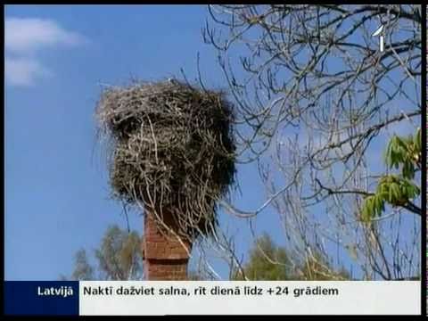 Video: Kā Izkļūt No Pārrāvuma Strāvas