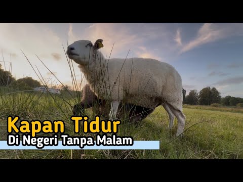 Kapan Tidur di Negeri Tanpa Malam